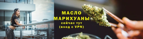 хмурый Каменка