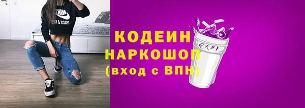хмурый Каменка
