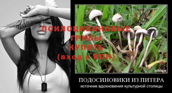 хмурый Каменка
