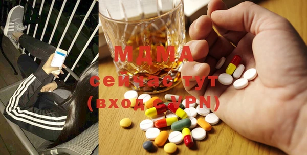 хмурый Каменка