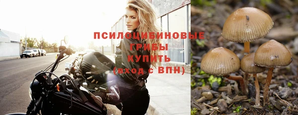 хмурый Каменка