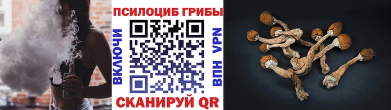 мега рабочий сайт  Домодедово  Галлюциногенные грибы Cubensis 