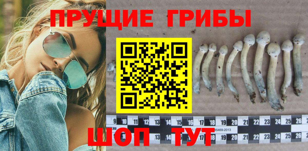 Домодедово  Псилоцибиновые грибы мухоморы  Галлюциногенные грибы мухоморы  Вход с VPN 